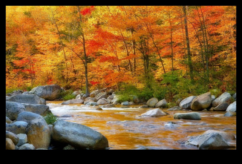 Streams Nature's Lifelines 1