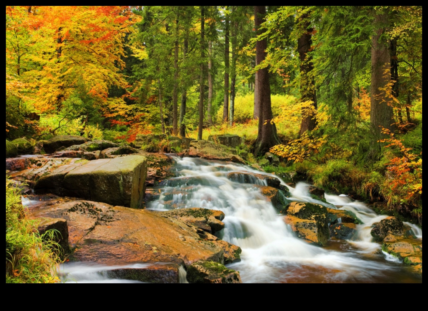 Rhythms of Rivulets: Streams and Creeks Winding Through Landscapes