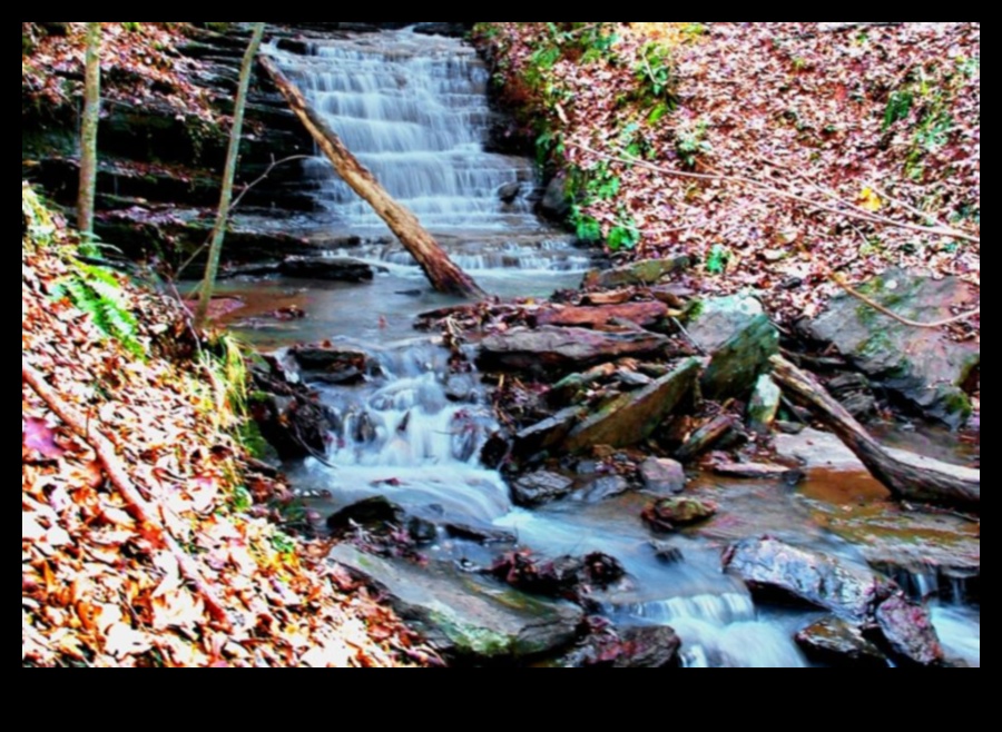 Rhythms of Rivulets: Streams and Creeks Winding Through Landscapes
