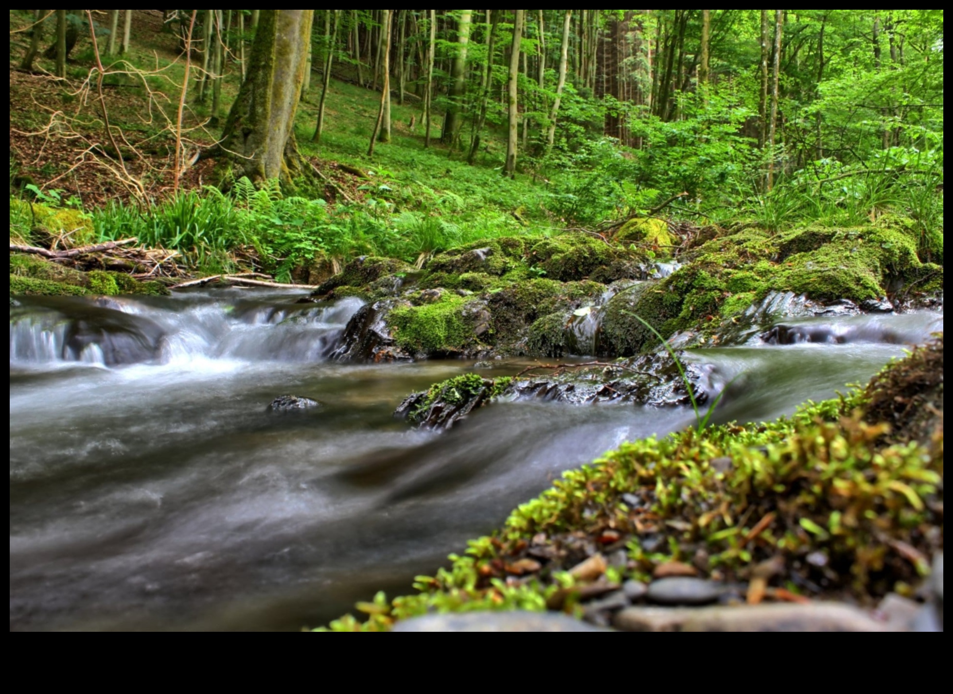 Rhythms of Rivulets: Streams and Creeks Winding Through Landscapes