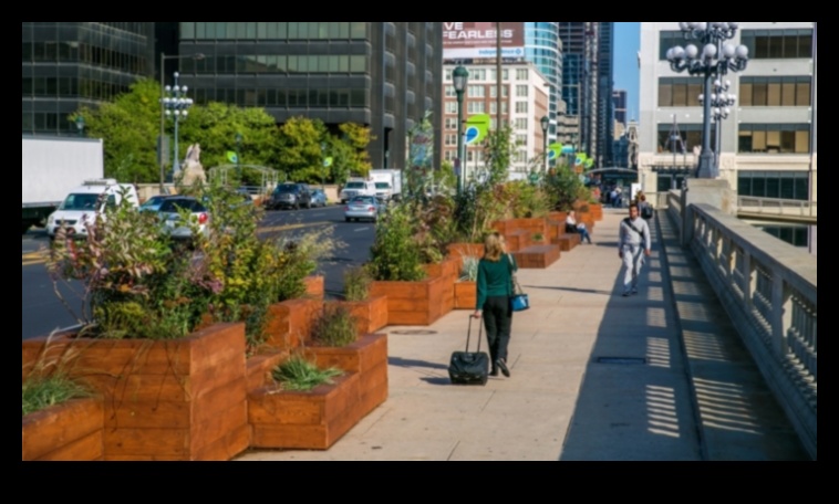 Streetscapes in Motion: The Dynamic Heartbeat of Cities