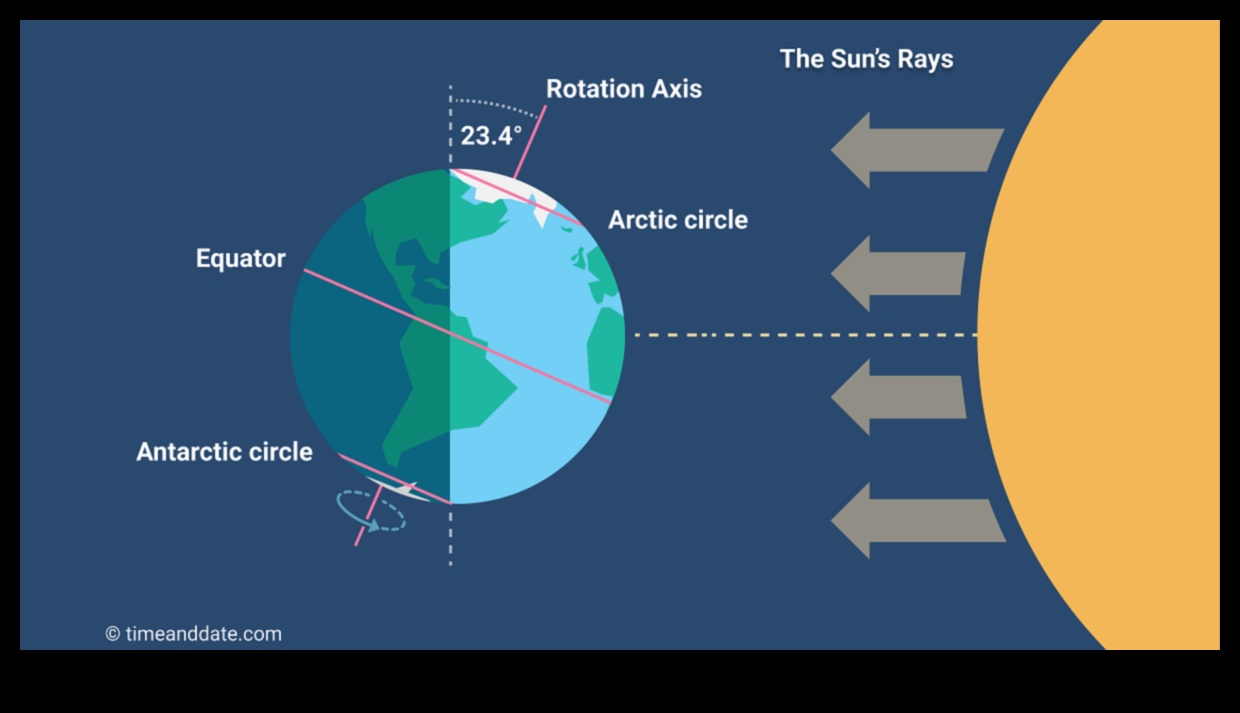 Radiant Summers: Embracing the Warmth of the Season