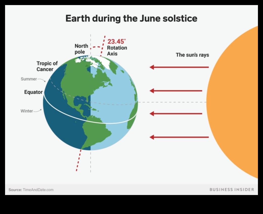 Radiant Summers: Embracing the Warmth of the Season