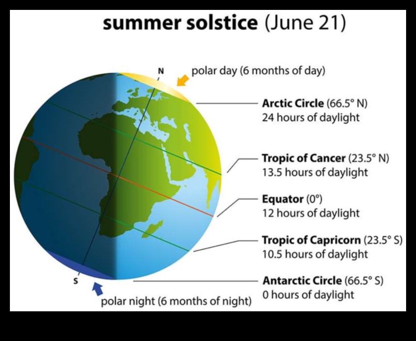 Radiant Summers: Embracing the Warmth of the Season