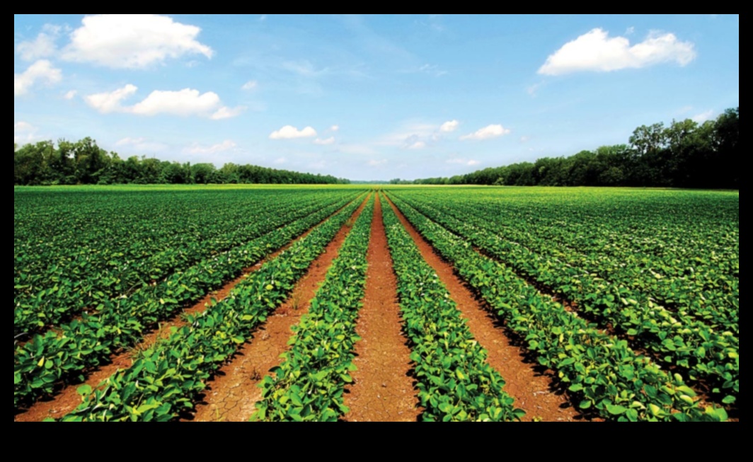 How do different agricultural practices contribute to the sustainability of landscapes?
