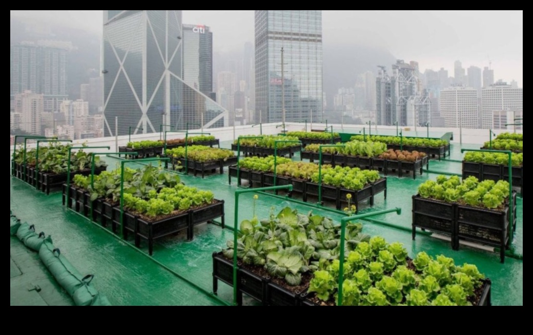 Sustainable Cityscapes: Urban Gardening Innovations