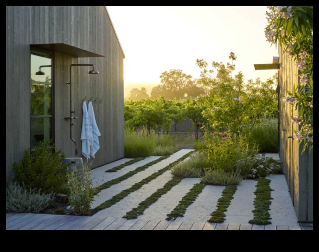 Green Innovation: Sustainable Landscape Design in the 21st Century
