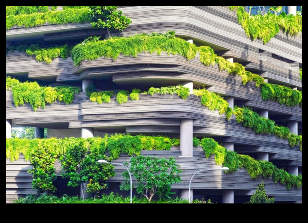 Eco-Friendly Beauty: Sustainable Landscape Design Trends