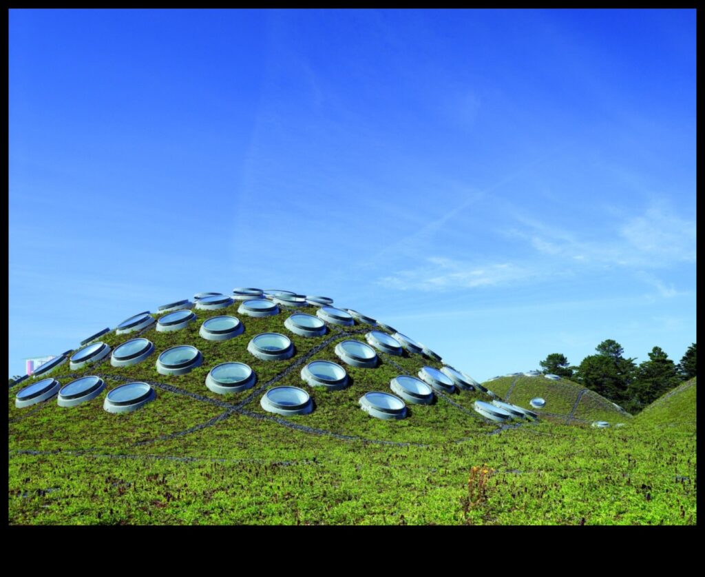 Sustainable Landscape Design Harmony in Nature and Architecture 1