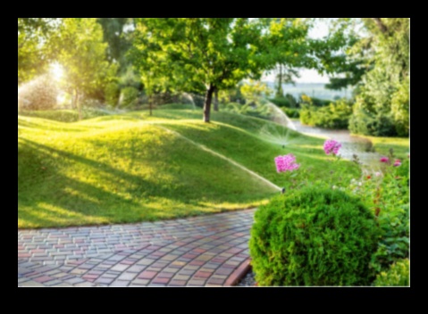 Sustainable Horizons: Landscape Design for Future Generations