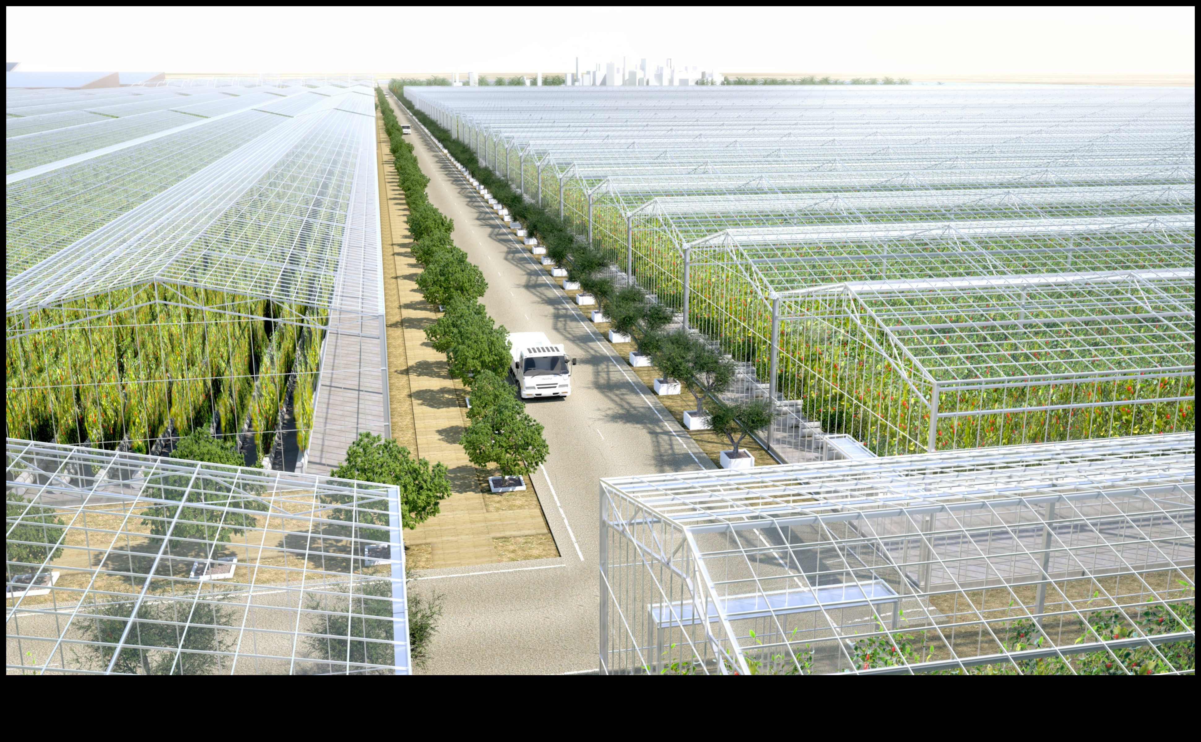 Sustainable Serenity: Organic Gardens for Balanced Living