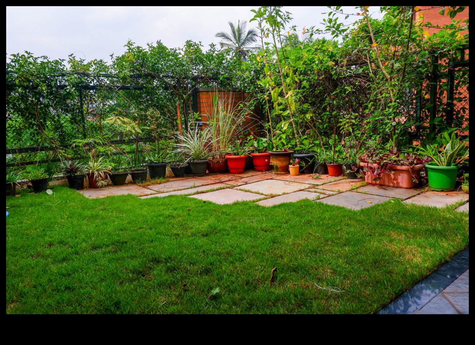 Sustainable Serenity: Organic Gardens for Balanced Living