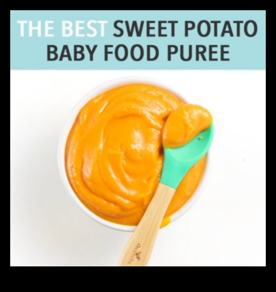 Sweet Savories: Delectable Baby Food Adventures Await