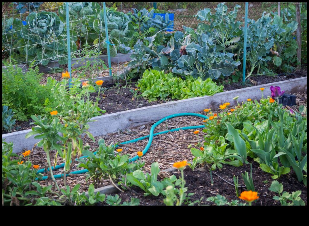 Symbiotic Blooms How to Grow More Vegetables with Companion Planting 1