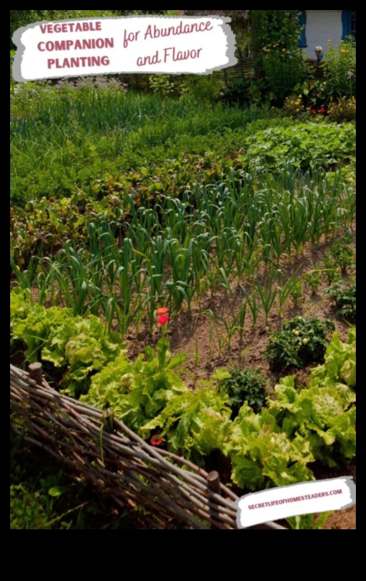 Symbiotic Blooms: Unlocking Secrets of Companion Planting