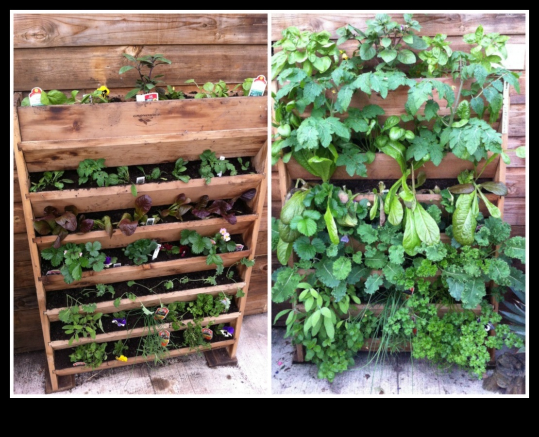 Tall Tales of Blooms: Vertical Gardening Wonders Unveiled