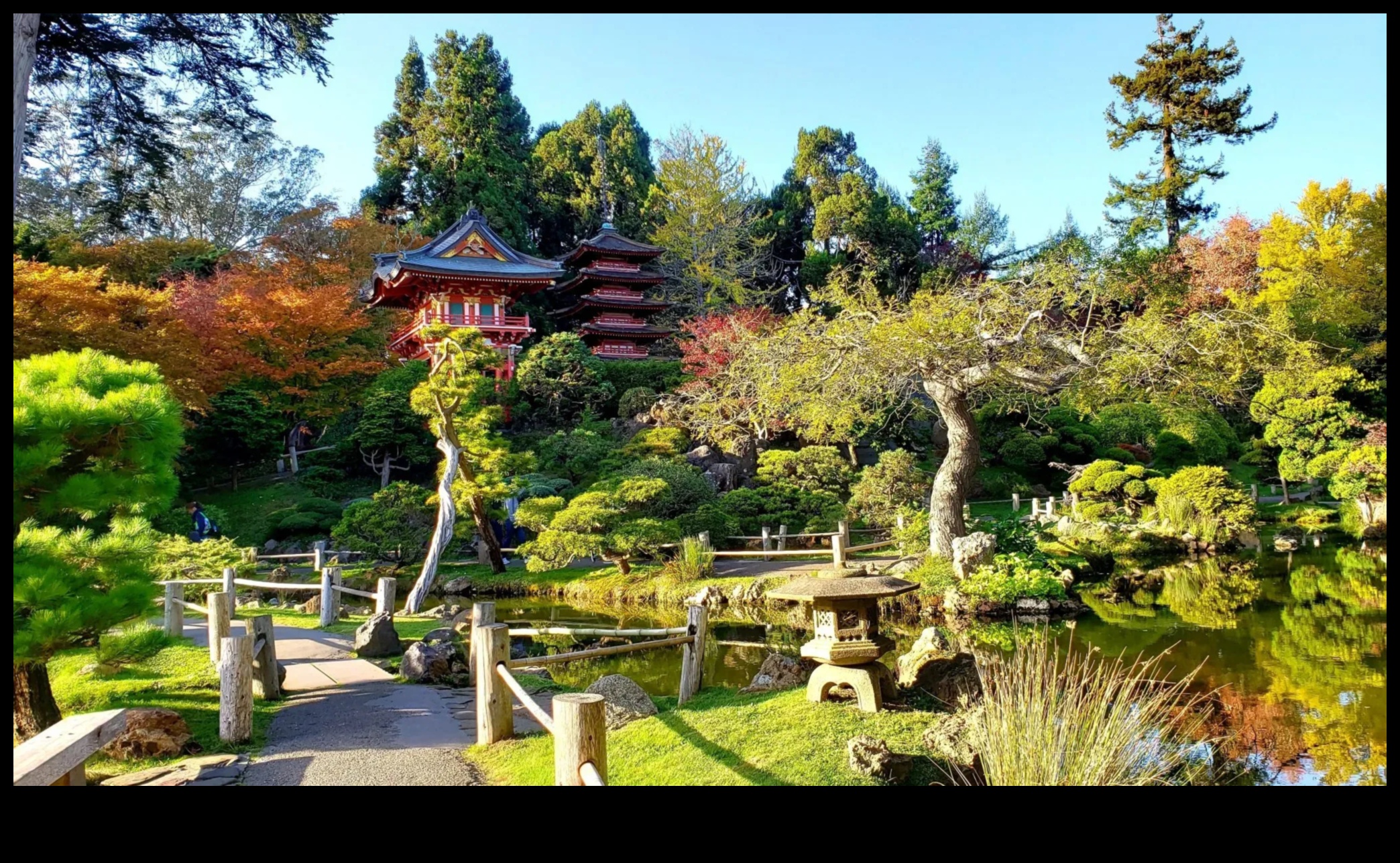 Tea Gardens and Tranquility: Japanese Essence Revealed