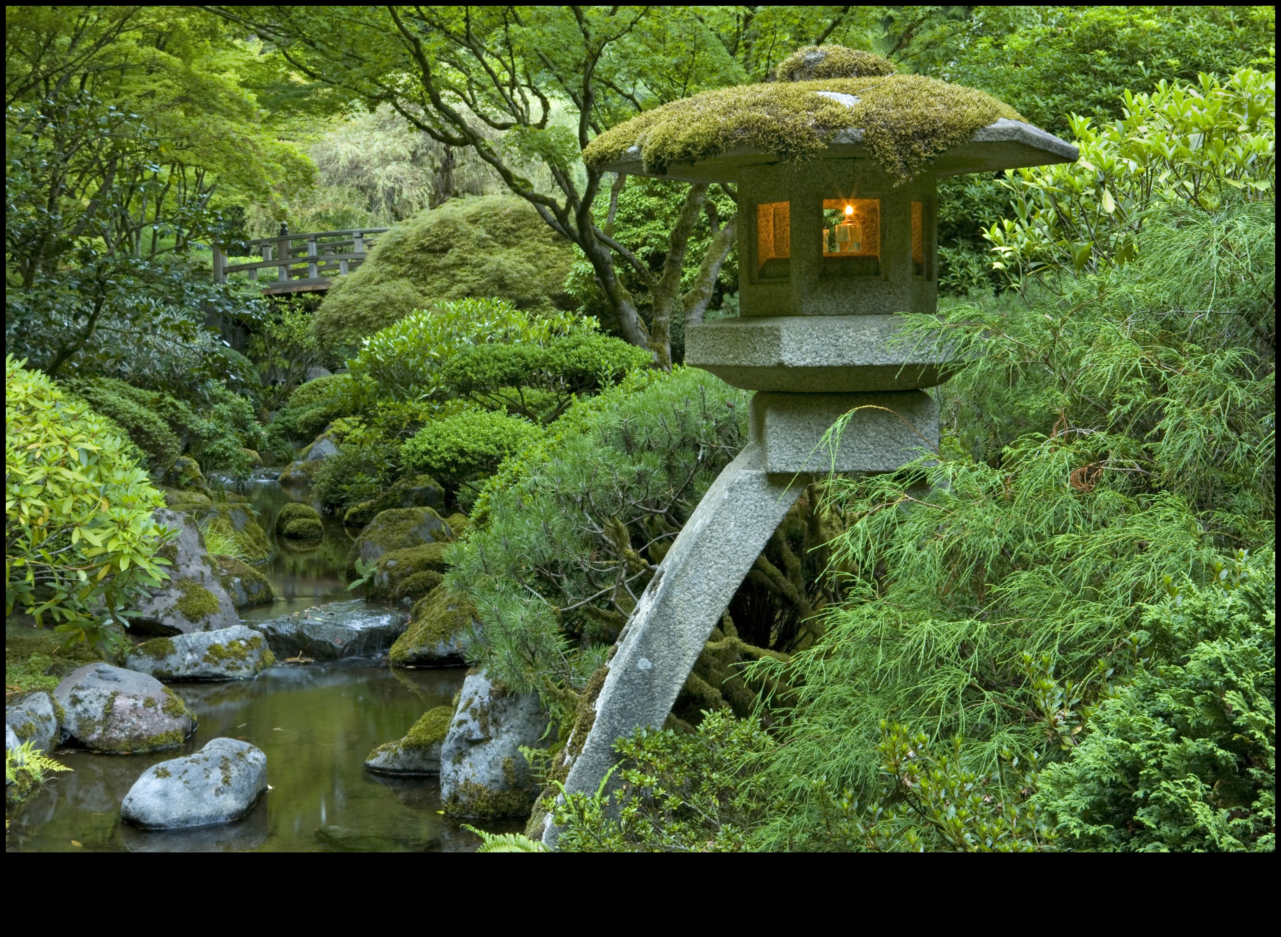 Tea Gardens and Tranquility: Japanese Essence Revealed