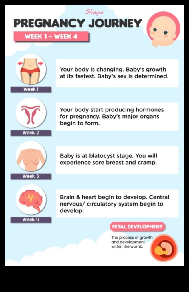 Tender Tootsies The First Steps in Your Baby's Journey 1