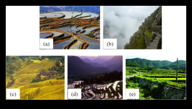 Why are agricultural terraces important for managing hilly landscapes?