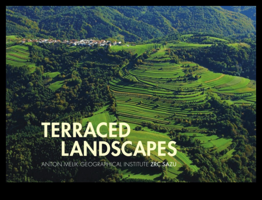 Why are agricultural terraces important for managing hilly landscapes?