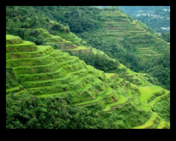 Why are agricultural terraces important for managing hilly landscapes?