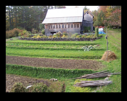 Why are agricultural terraces important for managing hilly landscapes?