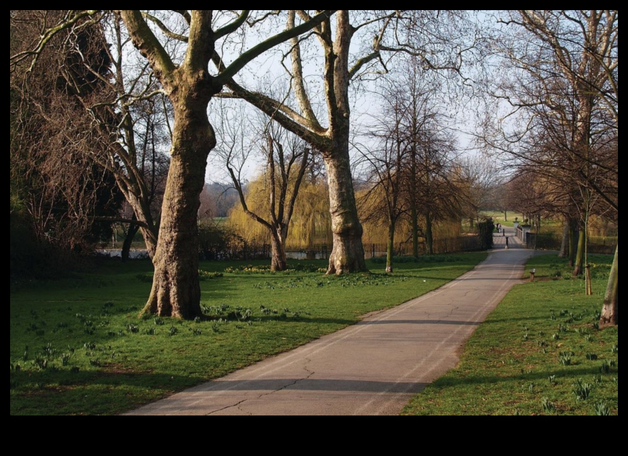 How do different cultures perceive the beauty of landscapes?