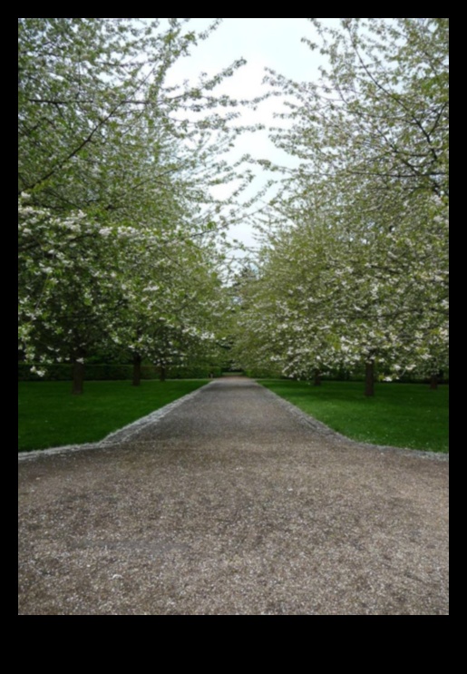 How do different cultures perceive the beauty of landscapes?