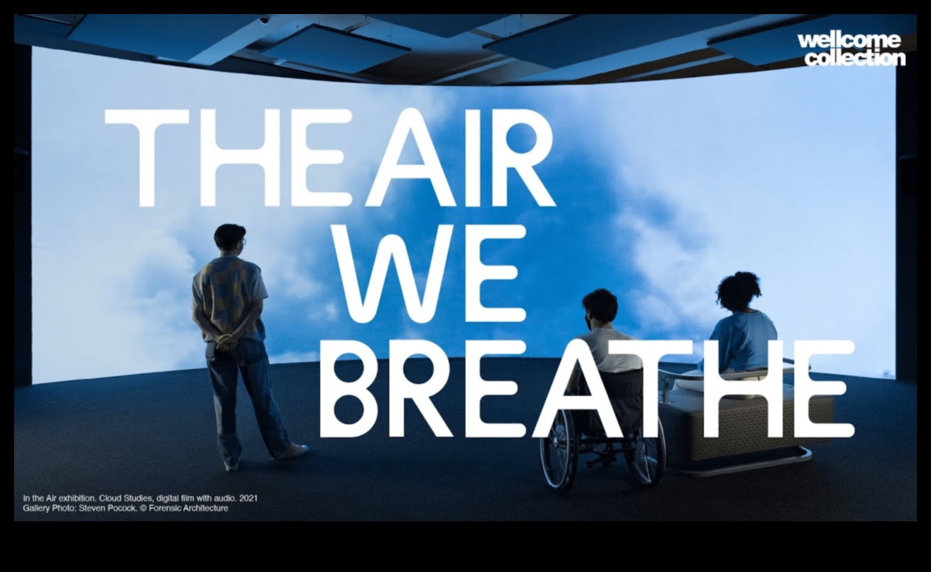 Why are certain landscapes more vulnerable to air and water pollution?