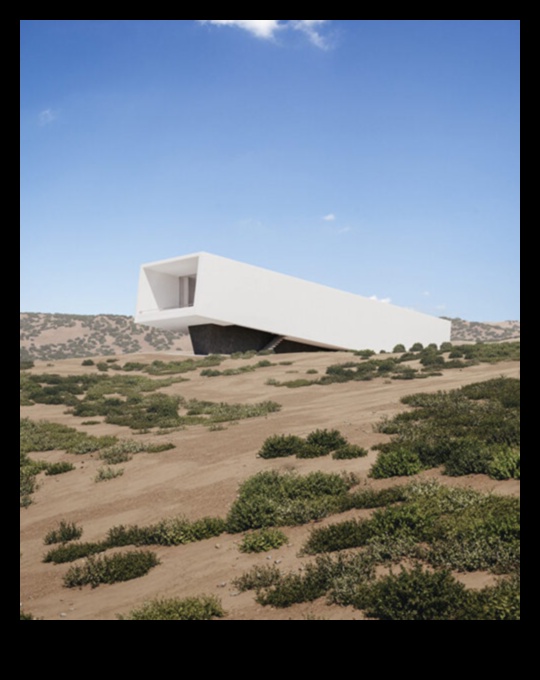 Desert Wonders: The Serenity of Arid Landscapes