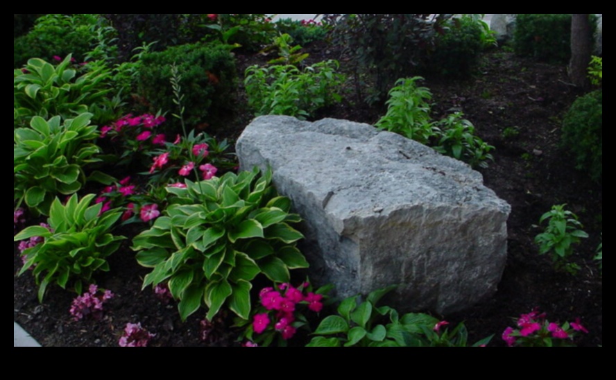 Landscapes in Harmony: Capturing the Balanced Beauty of Earth