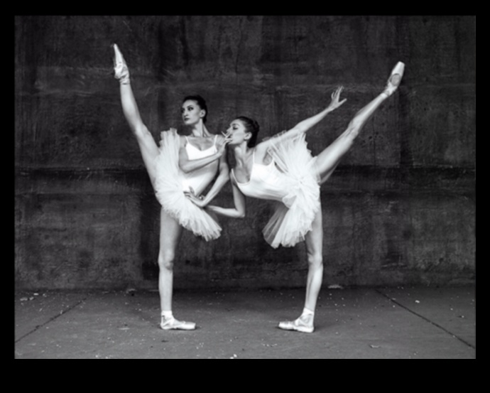The Art of Ballet 1