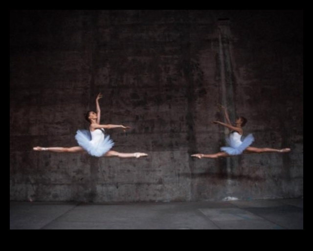 Blossom Ballet: The Dance of Spring Blossoms