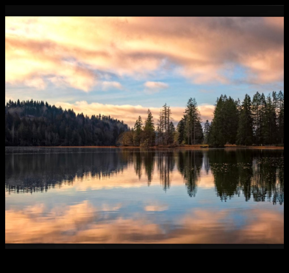 The Art of Nature: Landscape Marvels Unveiled