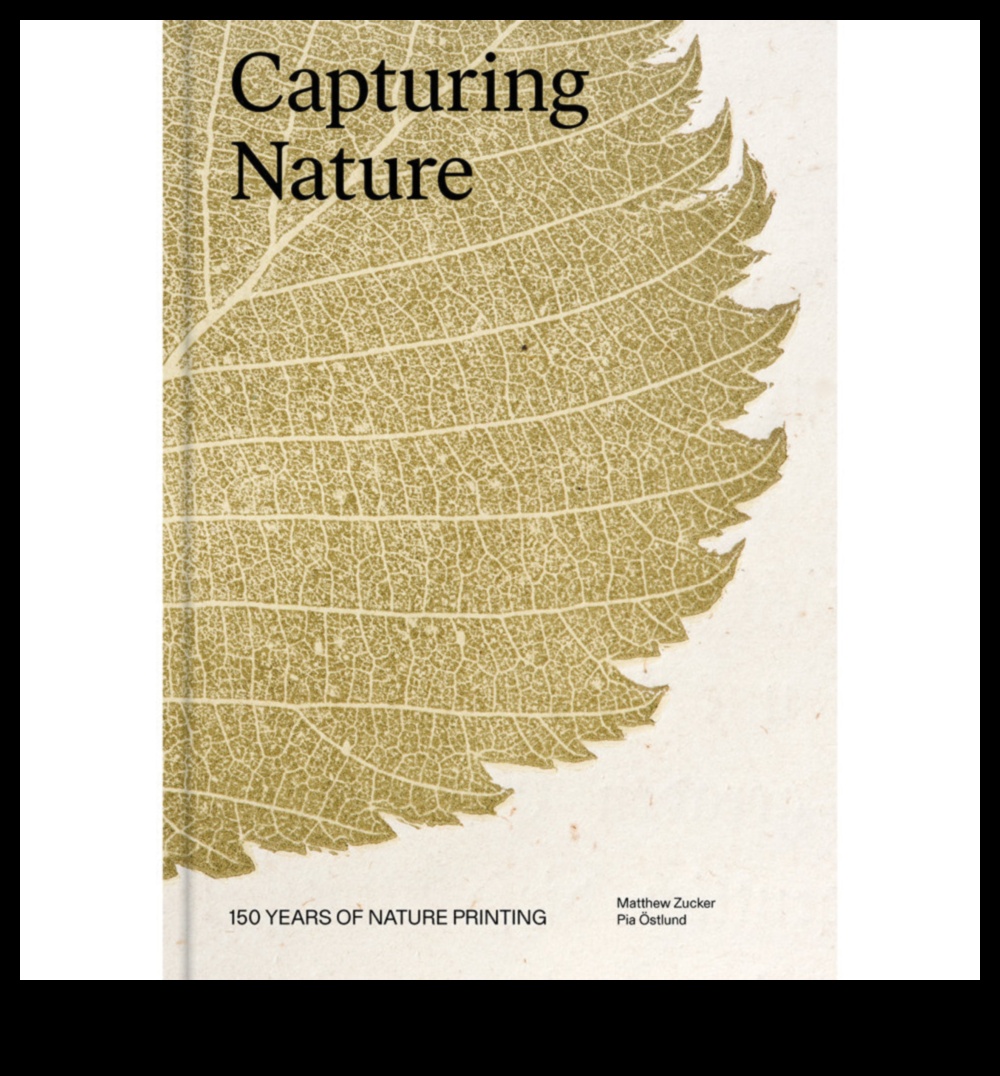 In the Lap of Nature: Mesmerizing Landscape Shots