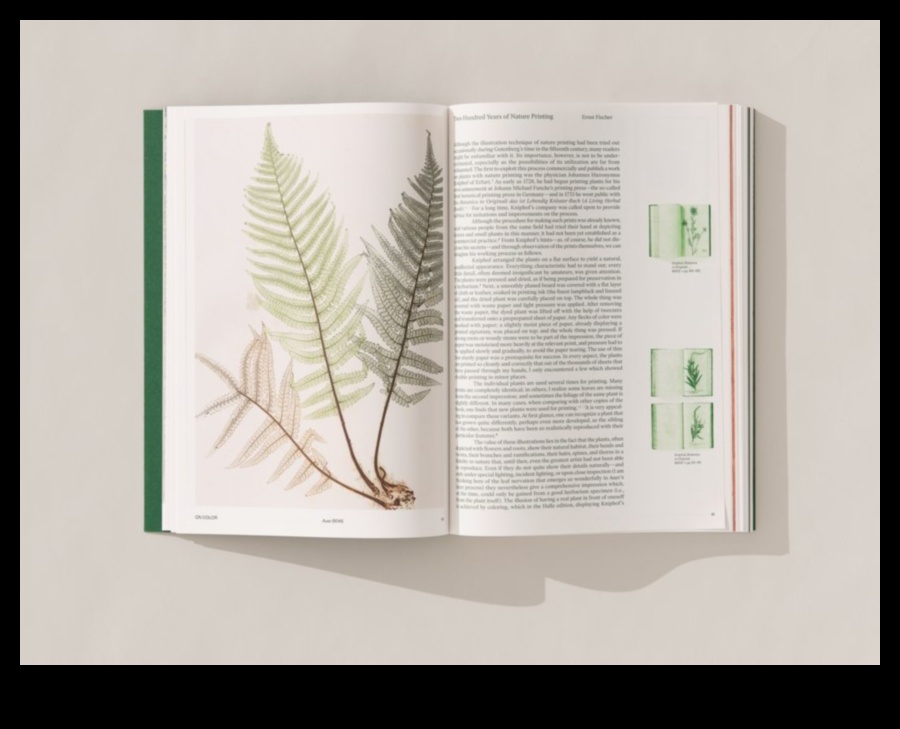 In the Lap of Nature: Mesmerizing Landscape Shots