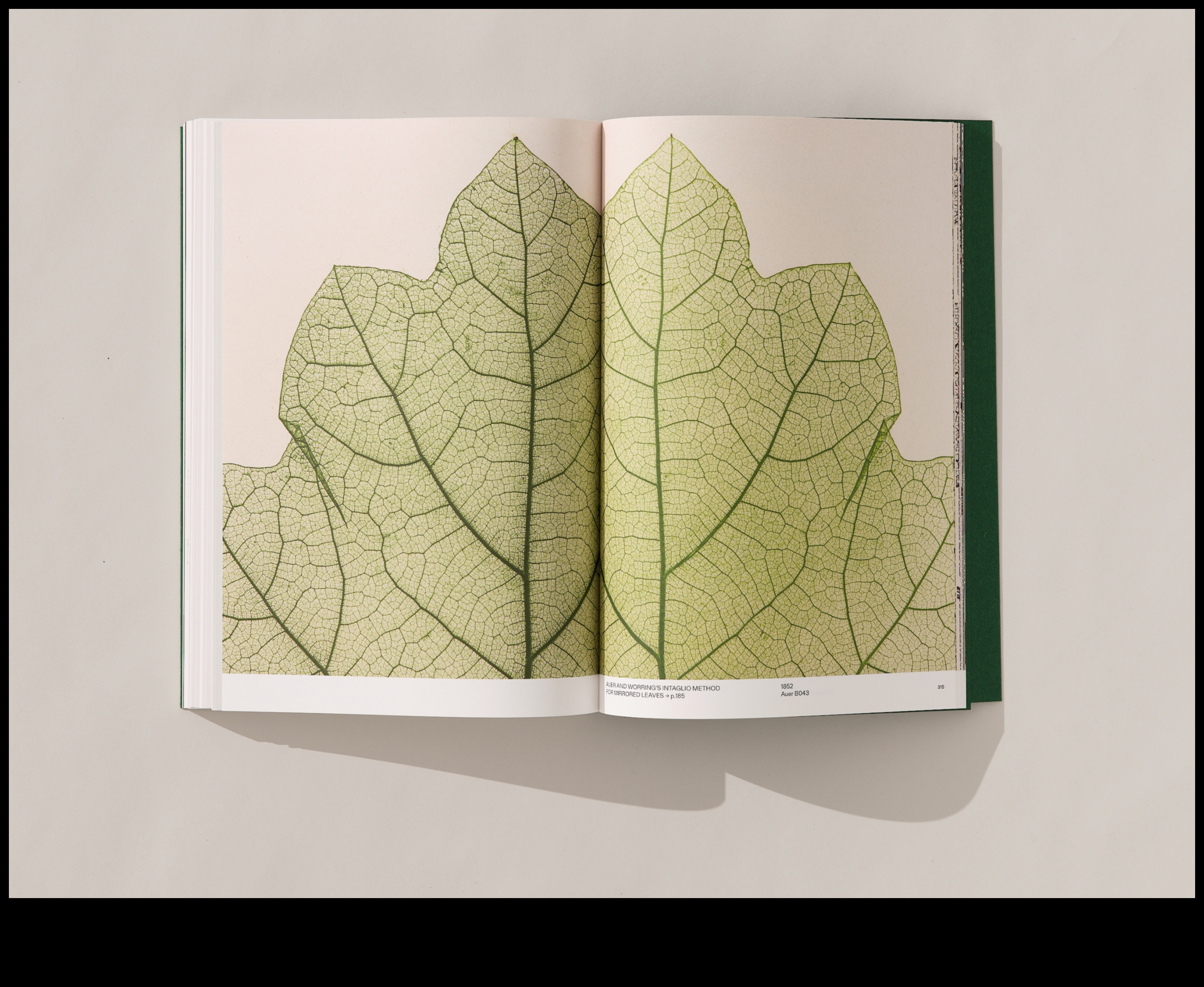 In the Lap of Nature: Mesmerizing Landscape Shots