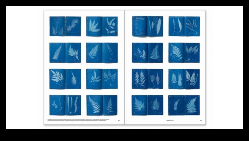 In the Lap of Nature: Mesmerizing Landscape Shots