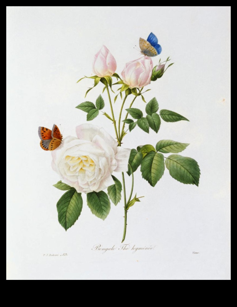 Visual Poetry: Expressive Landscapes in a Captivating Collection