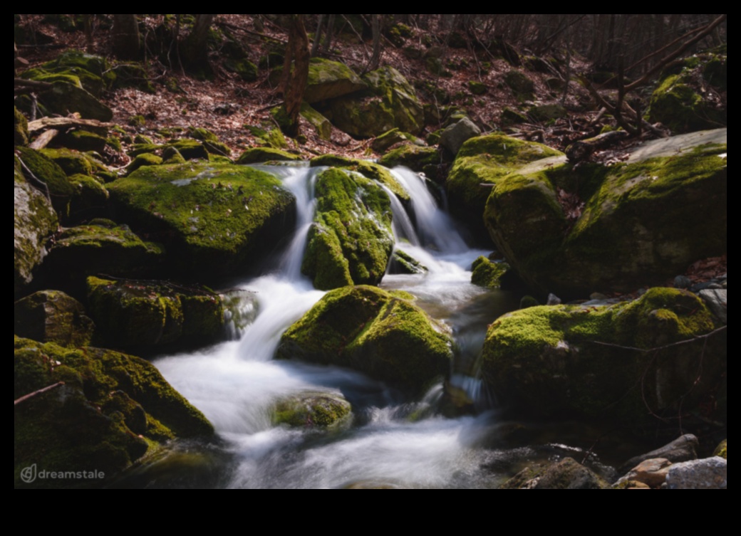 Visual Poetry: Expressive Landscapes in a Captivating Collection