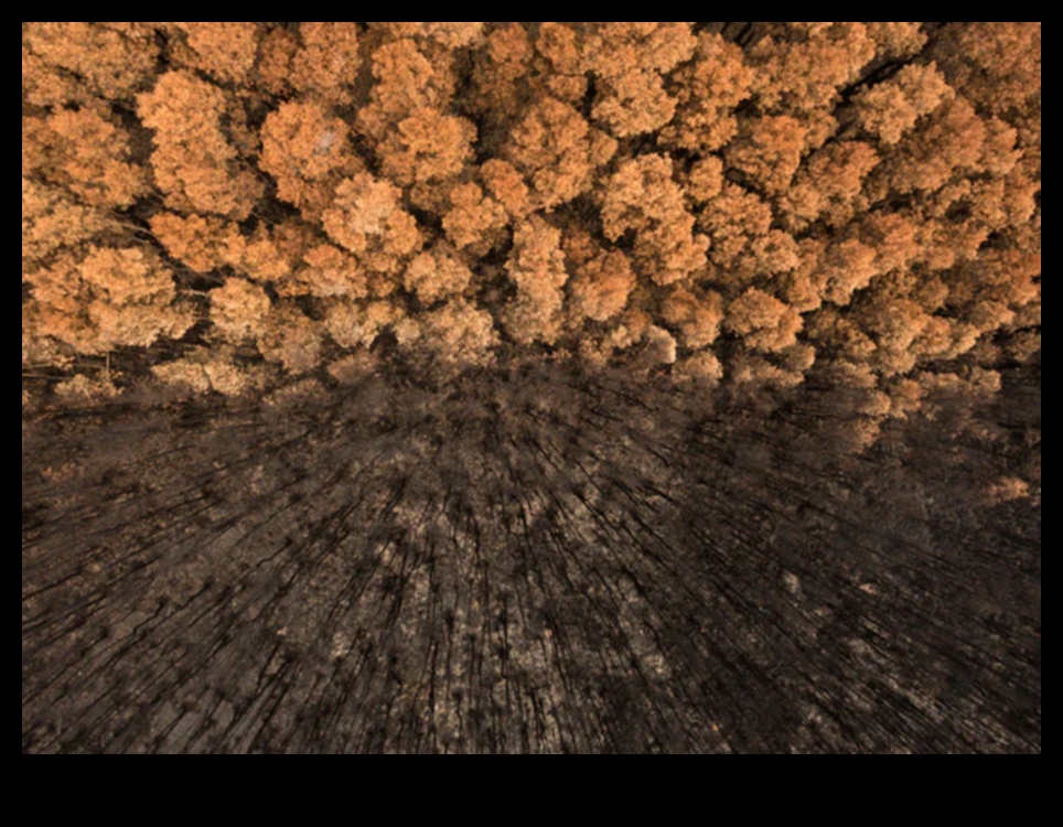 Sculpted by Nature: A Landscape Photography Extravaganza