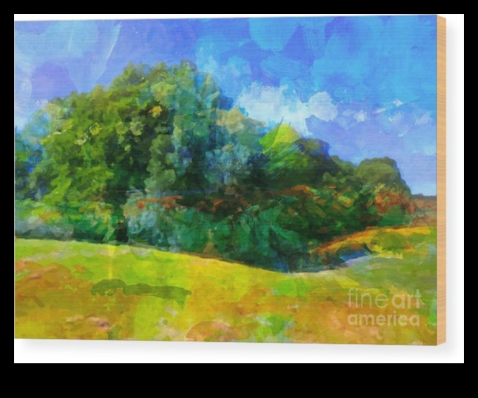 Capturing the Moment: Expressive Landscape Photography