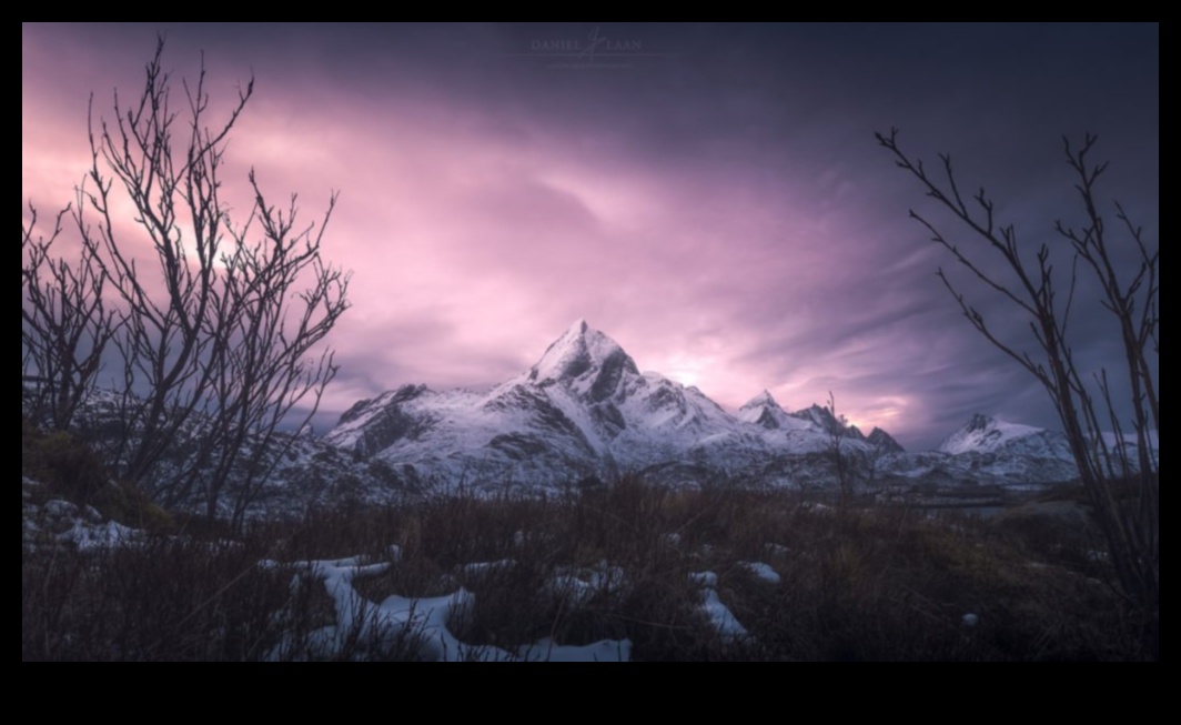 The Art of Landscape Photography 4 Serenity in Pixels: Landscape Photography Collection