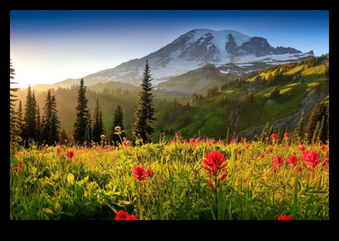 The Art of Nature Photography 2 Landscape Symphony: Nature's Harmony in Every Shot