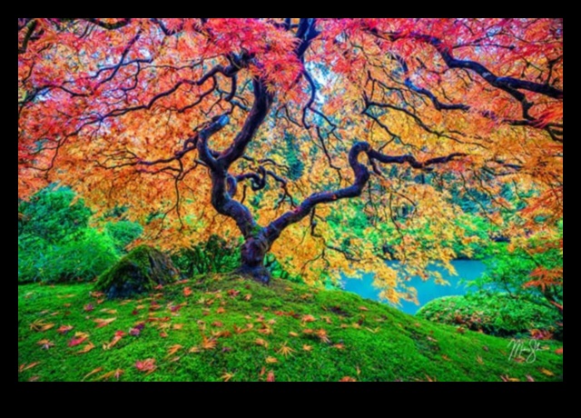 The Art of Nature Photography 3 Landscape Symphony: Nature's Harmony in Every Shot