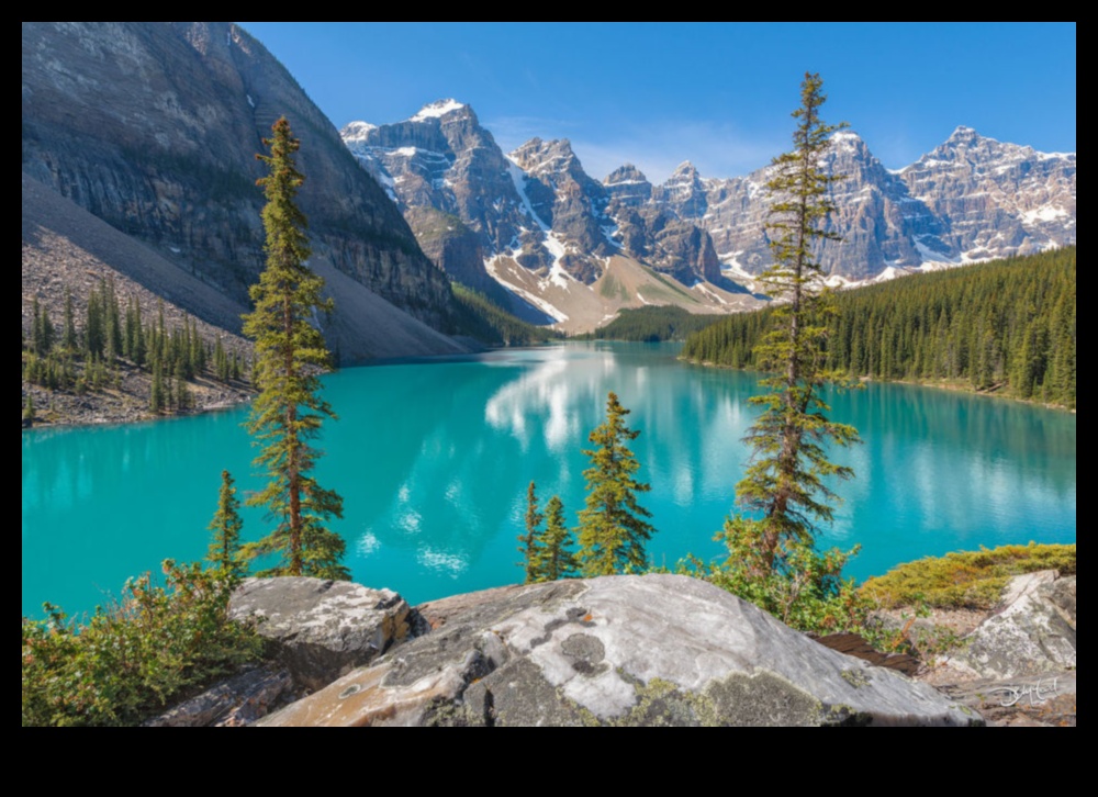 The Art of Nature Photography 10 Captivating Earthscapes: A Visual Celebration of Nature's Wonders