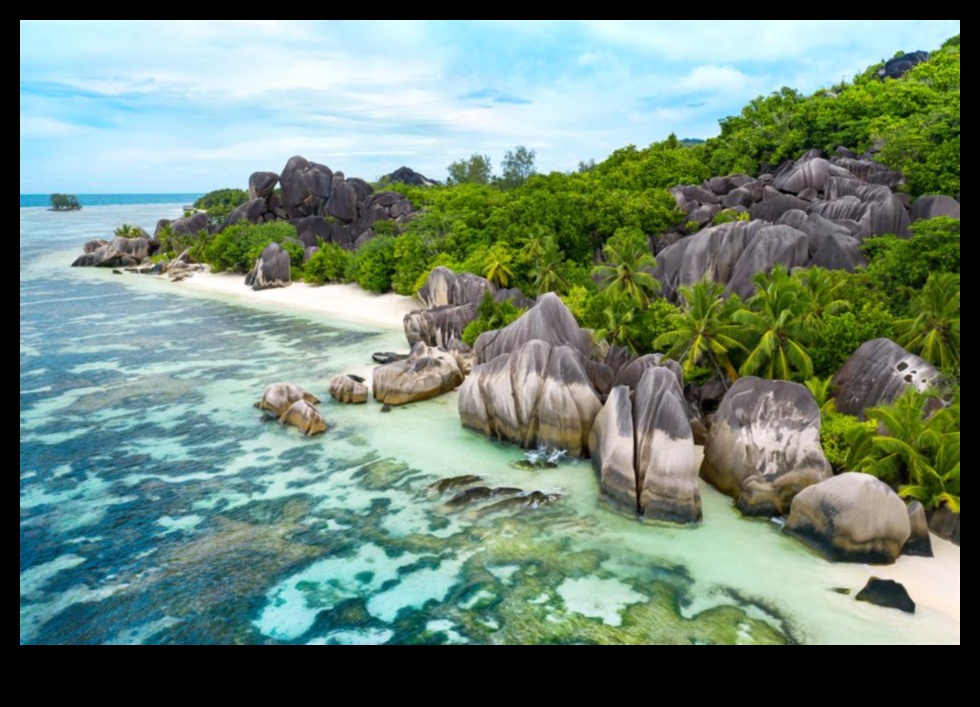 The Beauty of Coastal Landscapes 1