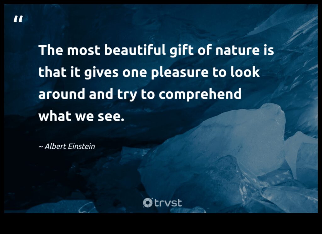 The Beauty of Nature A Timeless Gift 1