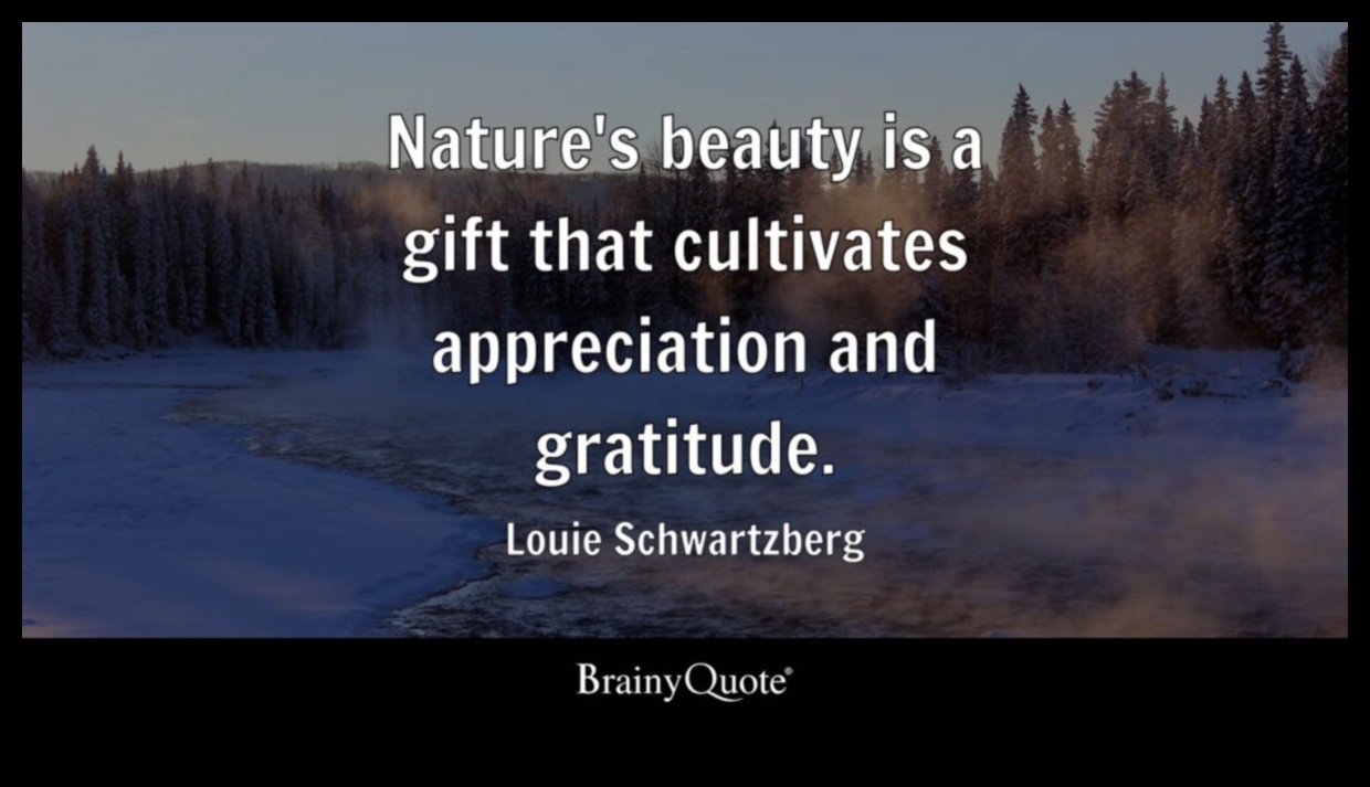 The Beauty of Nature A Timeless Gift 3 Countryside Views: Simple Pleasures in Nature